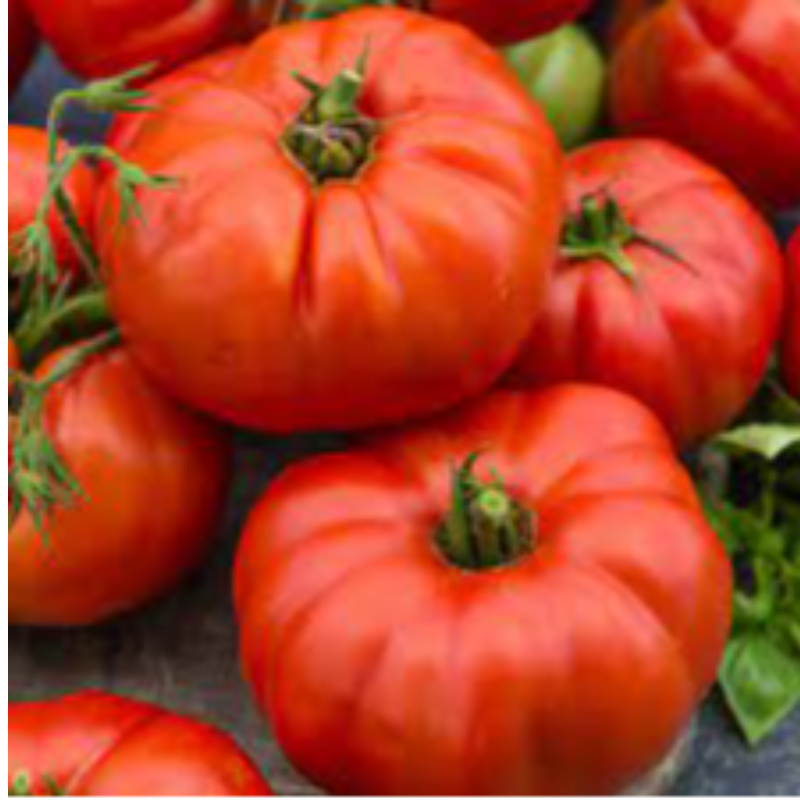 Beefsteak Tomatoes Main Image